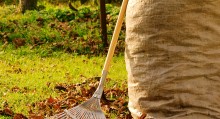 Fall Gardening Checklist
