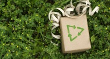 Green Checklist