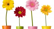 Mother's Day Gifts