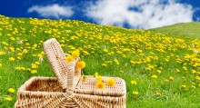 Picnic Checklist