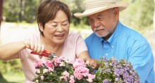 Spring Gardening Checklist